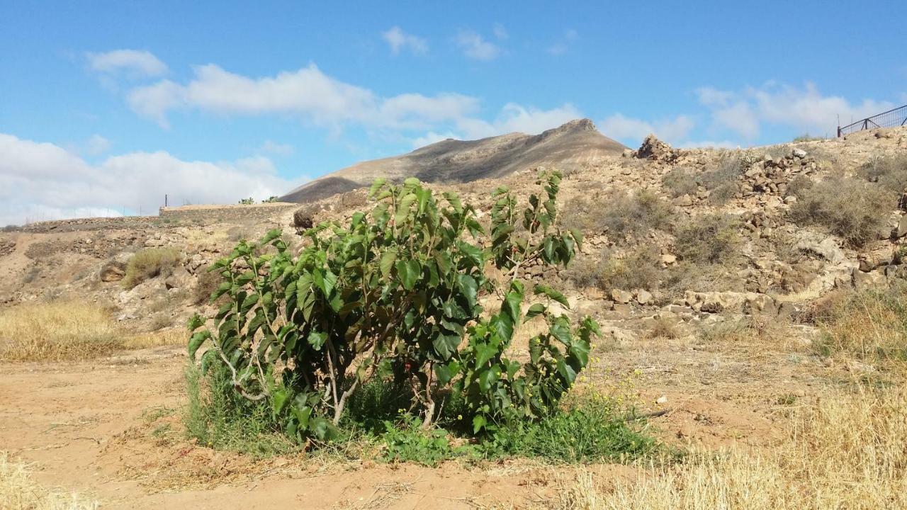פוארטו דל רוסריו Casa Blas מראה חיצוני תמונה