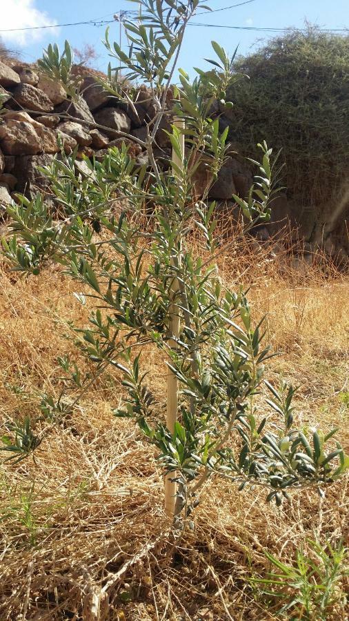 פוארטו דל רוסריו Casa Blas מראה חיצוני תמונה